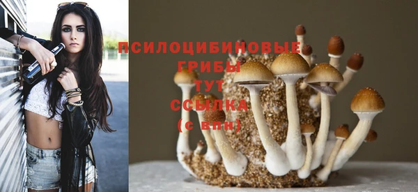 соль курить ск Аркадак