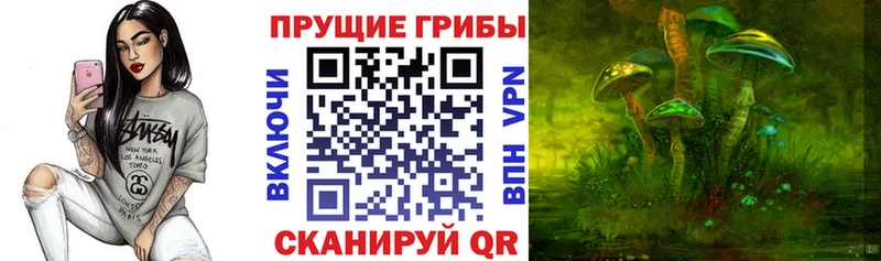 кракен рабочий сайт  цены наркотик  Шиханы  Галлюциногенные грибы Psilocybe 